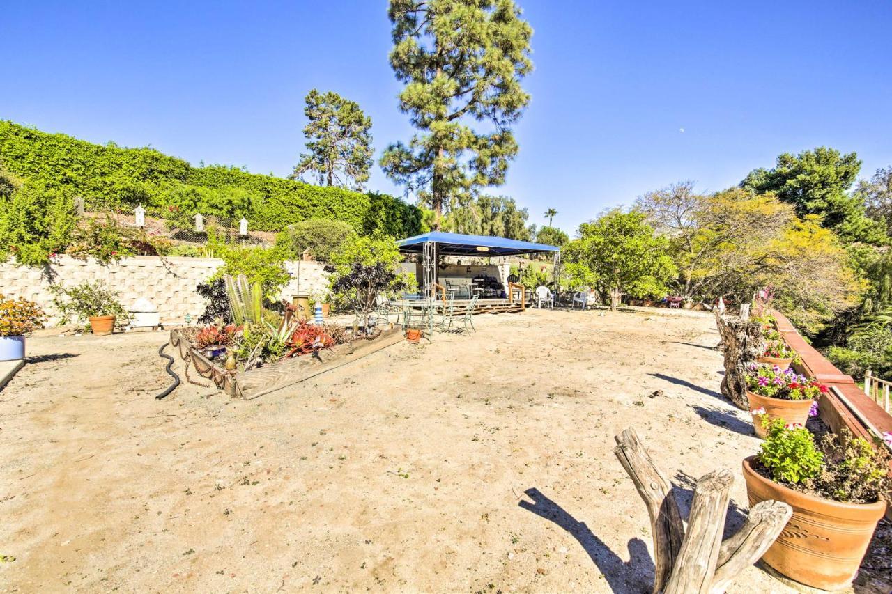 Sunny Bonita Studio About 5 Mi To Historic Dtwn! Exterior foto